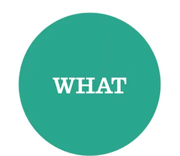 What 350x325